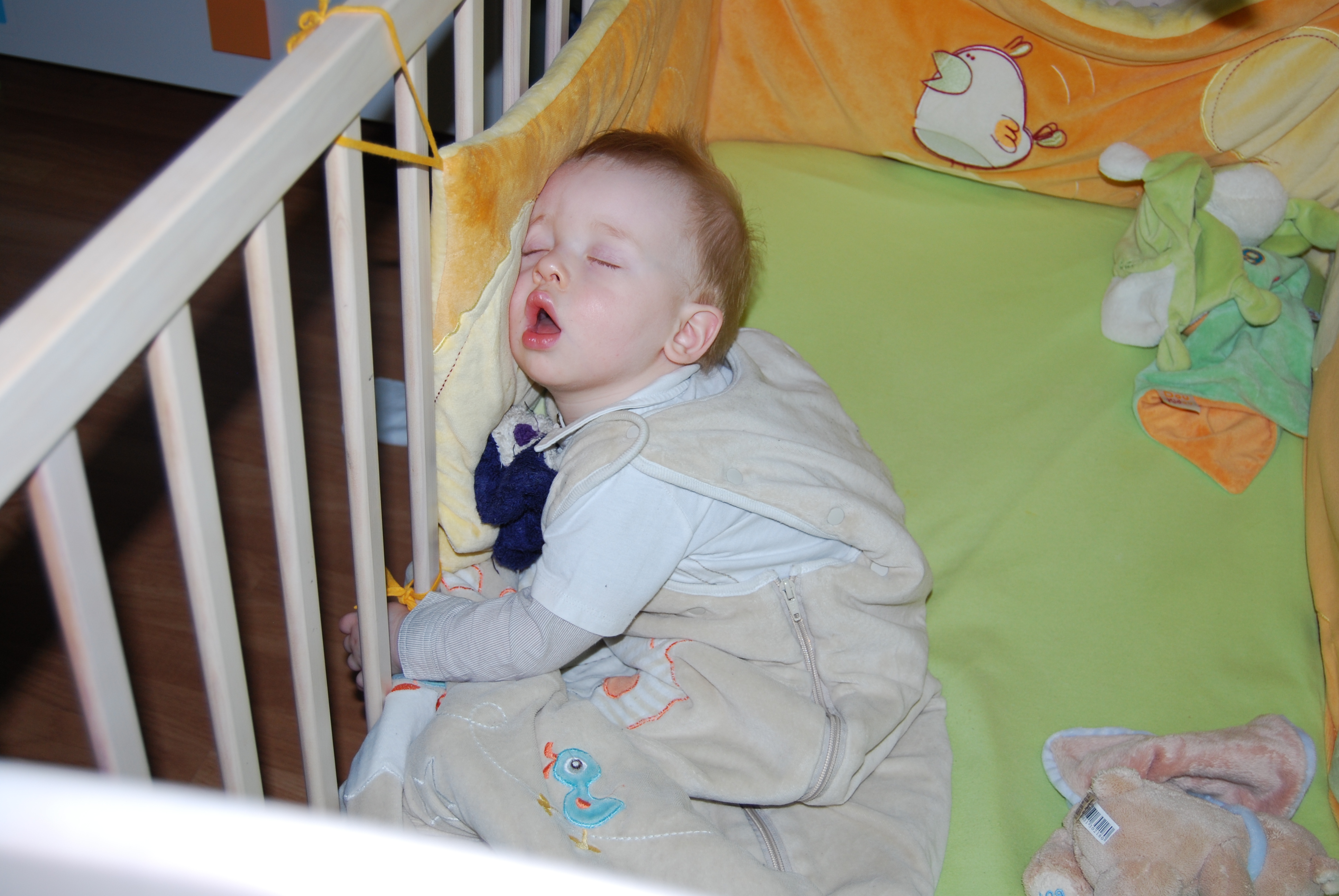 Dormir Assis Oui C Est Possible Bebe Grandit Forum Grossesse Amp Bebe Doctissimo