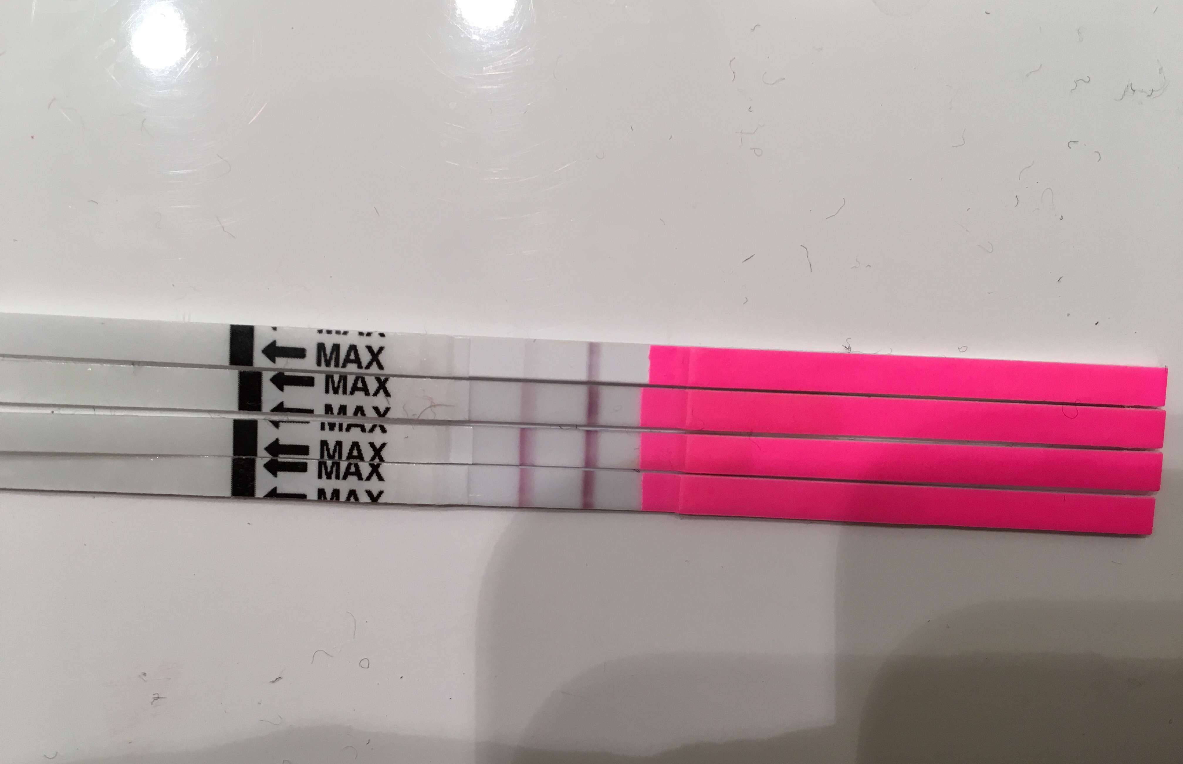 Combien De Temps Ovule T On Apres Un Test D Ovulation Positif