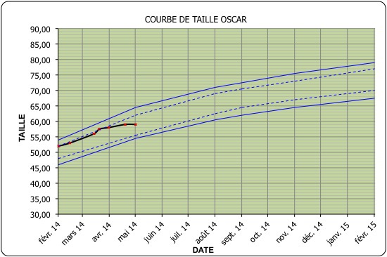 courbe taille
