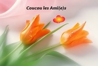 coucou_017