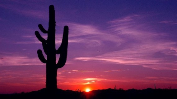 154593__desert-sunset_p