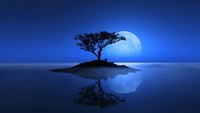 201408__blue-moon-reflection_p
