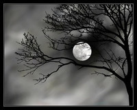 541742__moon-and-tree_p