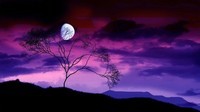 179484__moonlight-in-purple-sky_p