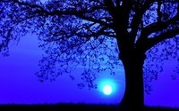 519246__full-moon-night_p