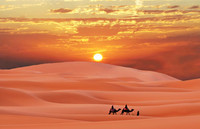 24651__desert-sunset_p