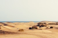 dunes-1646099_960_720