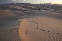 sand-dunes-1550392_960_720