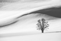 snow-dunes-1235372_960_720
