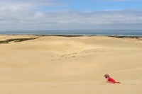 sand-dune-1615562_960_720
