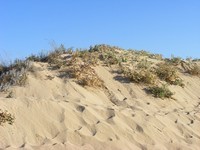 dune-602229_960_720