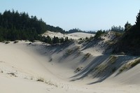sand-dunes-52901_960_720