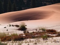 pink-sand-dunes-208859_960_720