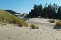 sand-dunes-52902_960_720