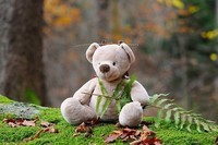 teddy-bear-524251_960_720