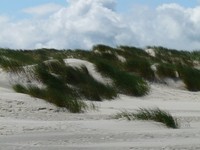 dunes-57589_960_720