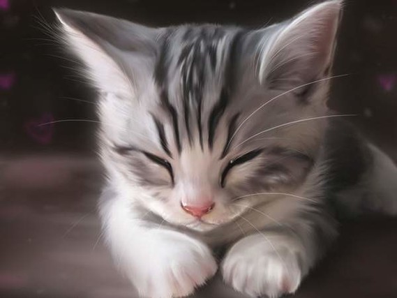 art-watercolor-cute-cat-sleeping-1600x1200_imagesia-com_10gj6_large