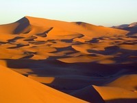 sand-dunes-1414082_960_720