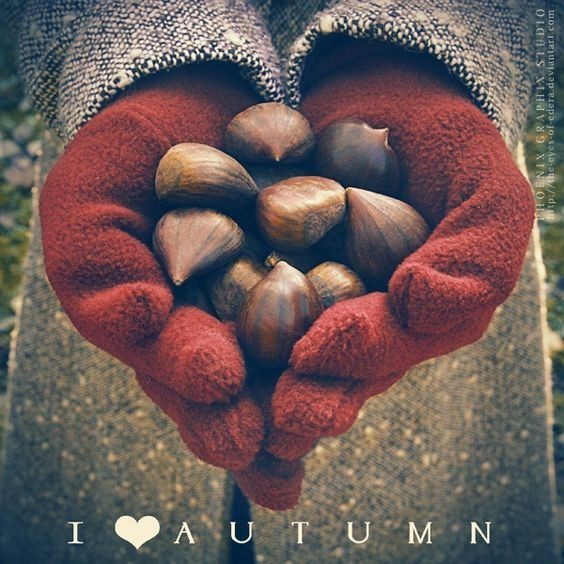 b53538ce20bebff2bacdb906f488e986--autumn-love-autumn-fall