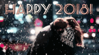 happy-new-year-2018-romantic-kiss-gif