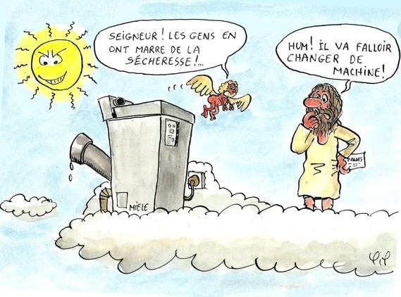 canicule