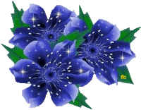 krabbels-glitter-bloemen-24272