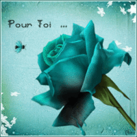 turquoise-rose-pour-toi-a