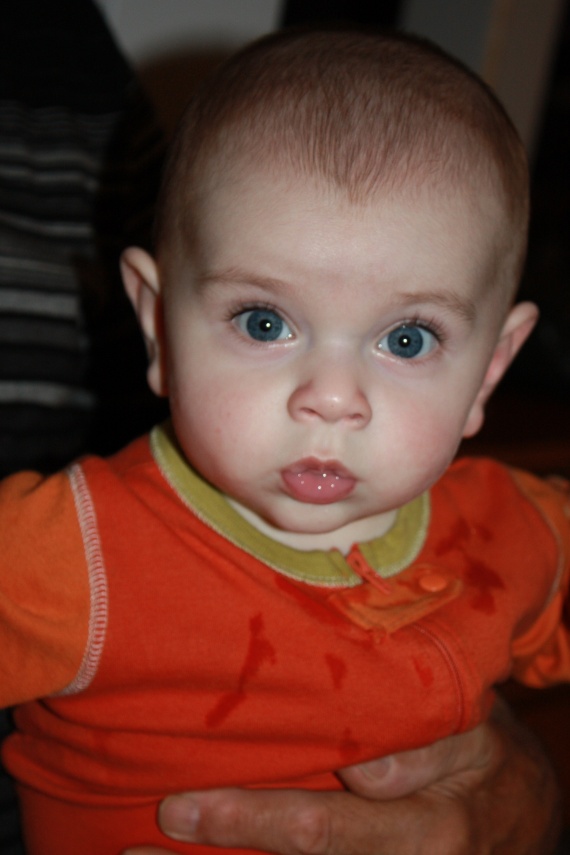 Mon Mini A Les Oreilles Decolees Mon Mini A Les Oreilles Decolees