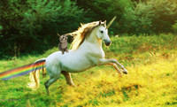 cat_riding_unicorn_by_ithlia-d4wyzfu