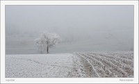 cours_paysage_neige_1