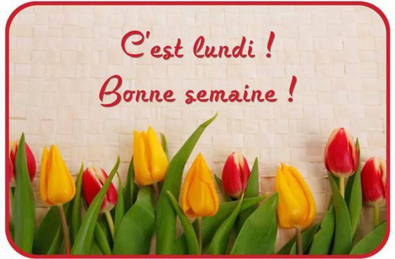 bon lundi