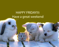 Happy-Friday-Have-A-Great-Weekend