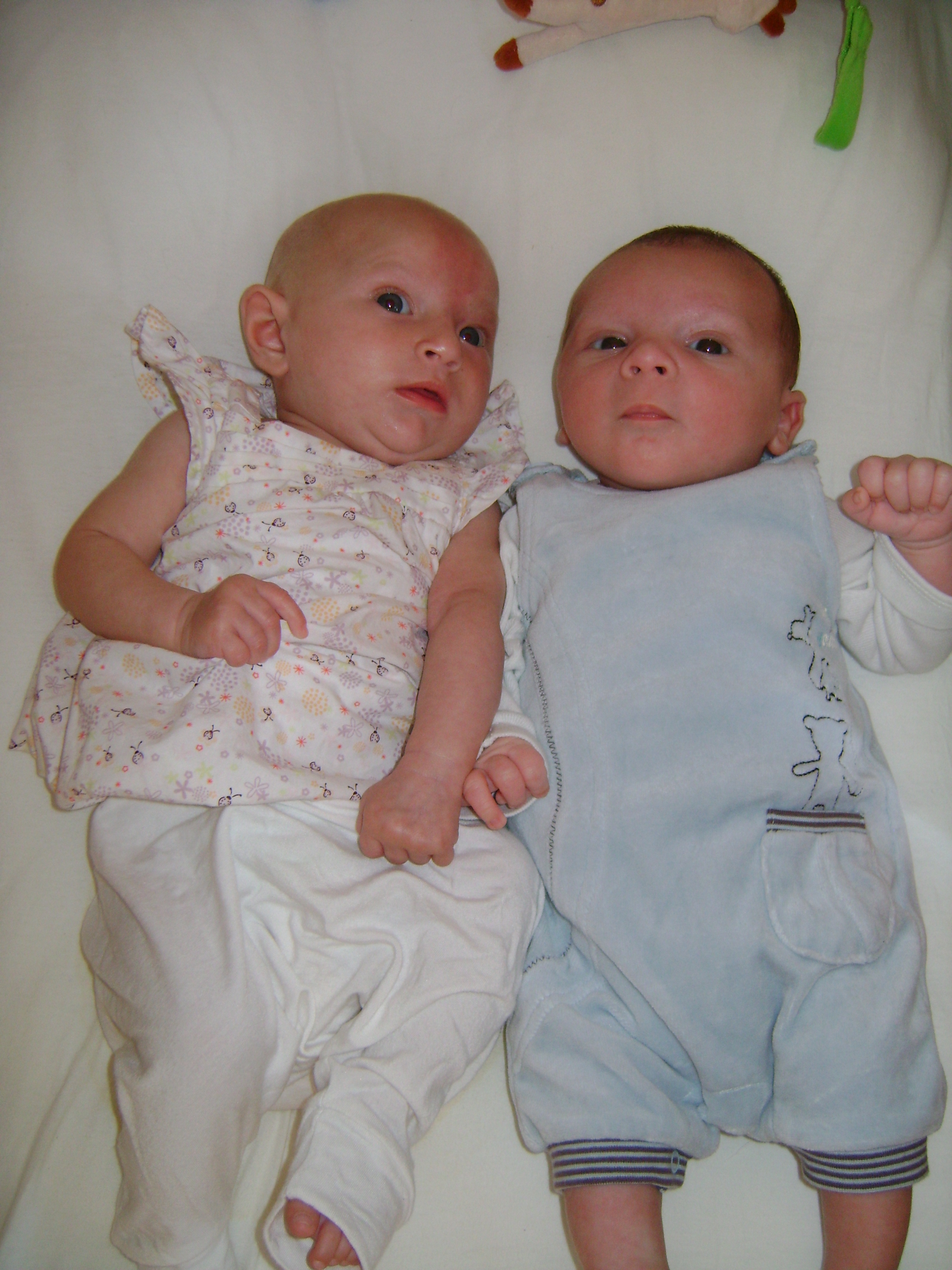 Maladie Du Cri Du Chat Enfants Differents Forum Famille Doctissimo Maladie Du Cri Du Chat Enfants Differents Forum Famille Doctissimo