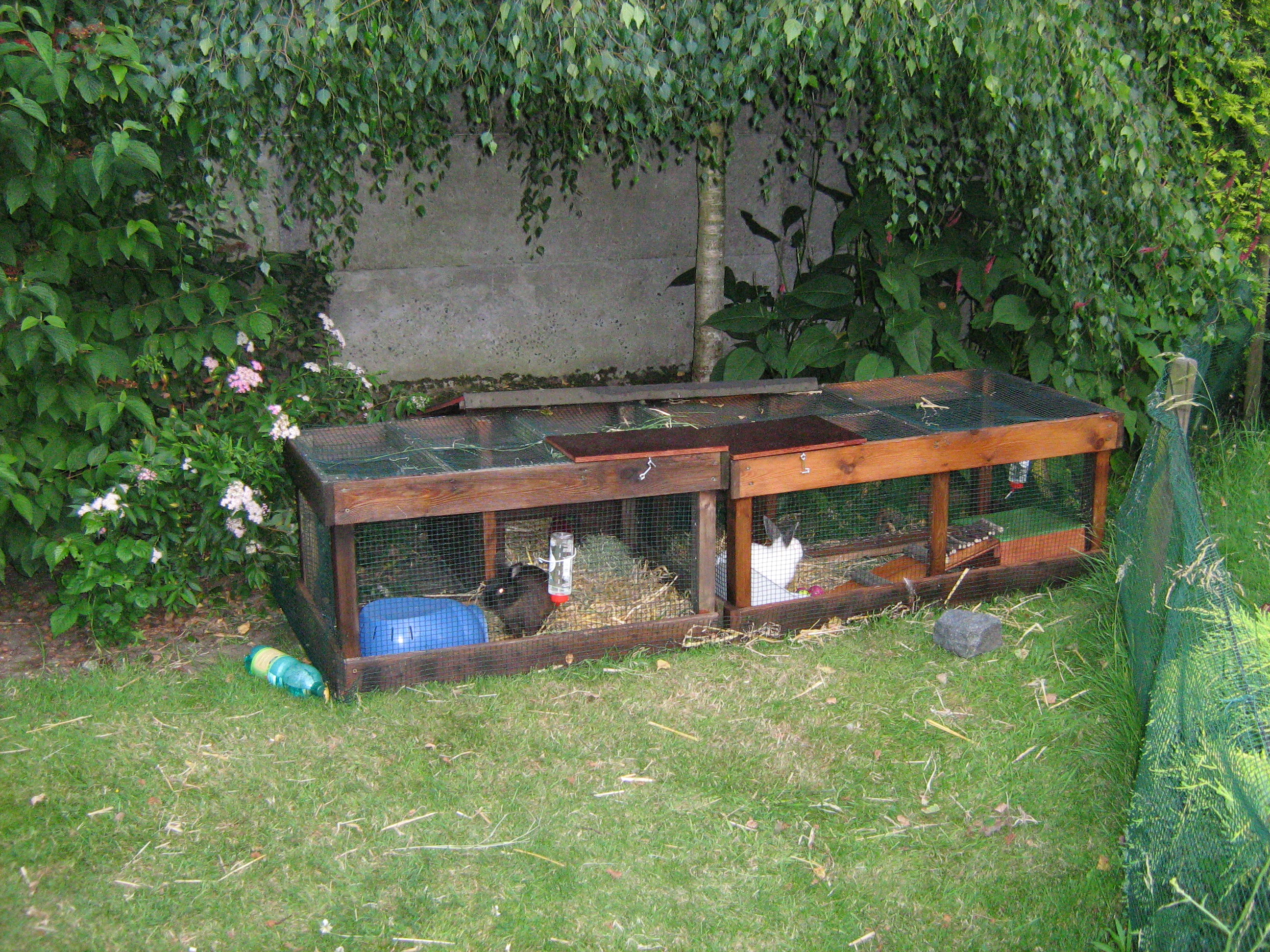 Enclos Exterieur Lapin Fait Maison | Ventana Blog