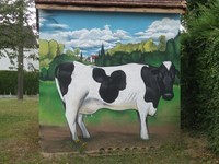 Street art Vache