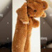 un-ours-en-peluche-suspendu-dans-un-noeud-dans-le-grenier-chambre-2fmab30