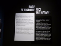 Race et histoire