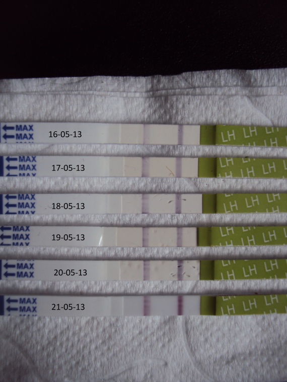 Test d'Ovulation positif ?! Tests et symptômes de grossesse FORUM