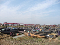 Myanmar - Lac Inlé - 09 Fév 2015 - P1090374