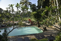 Bali - 25 Septembre 2018 - Belimbing - Un de nos Hôtels - DSC3181