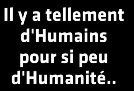 Humanite Citations Engage Foxscotty Photos Club Doctissimo