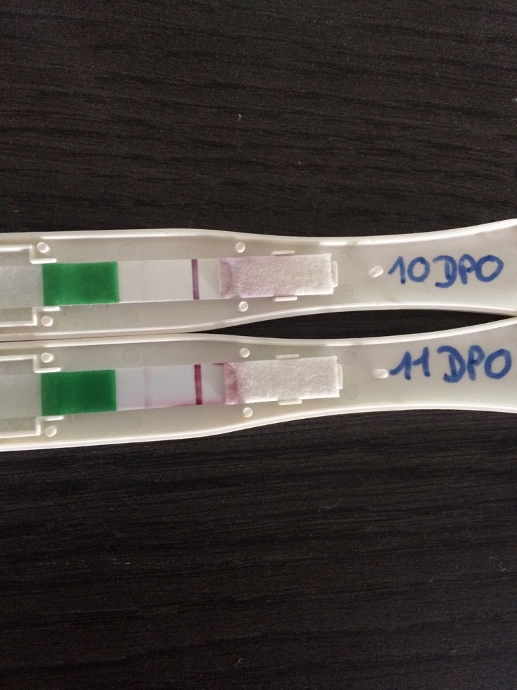 test 9 DPO - Tests et symptômes de grossesse - FORUM Grossesse ...