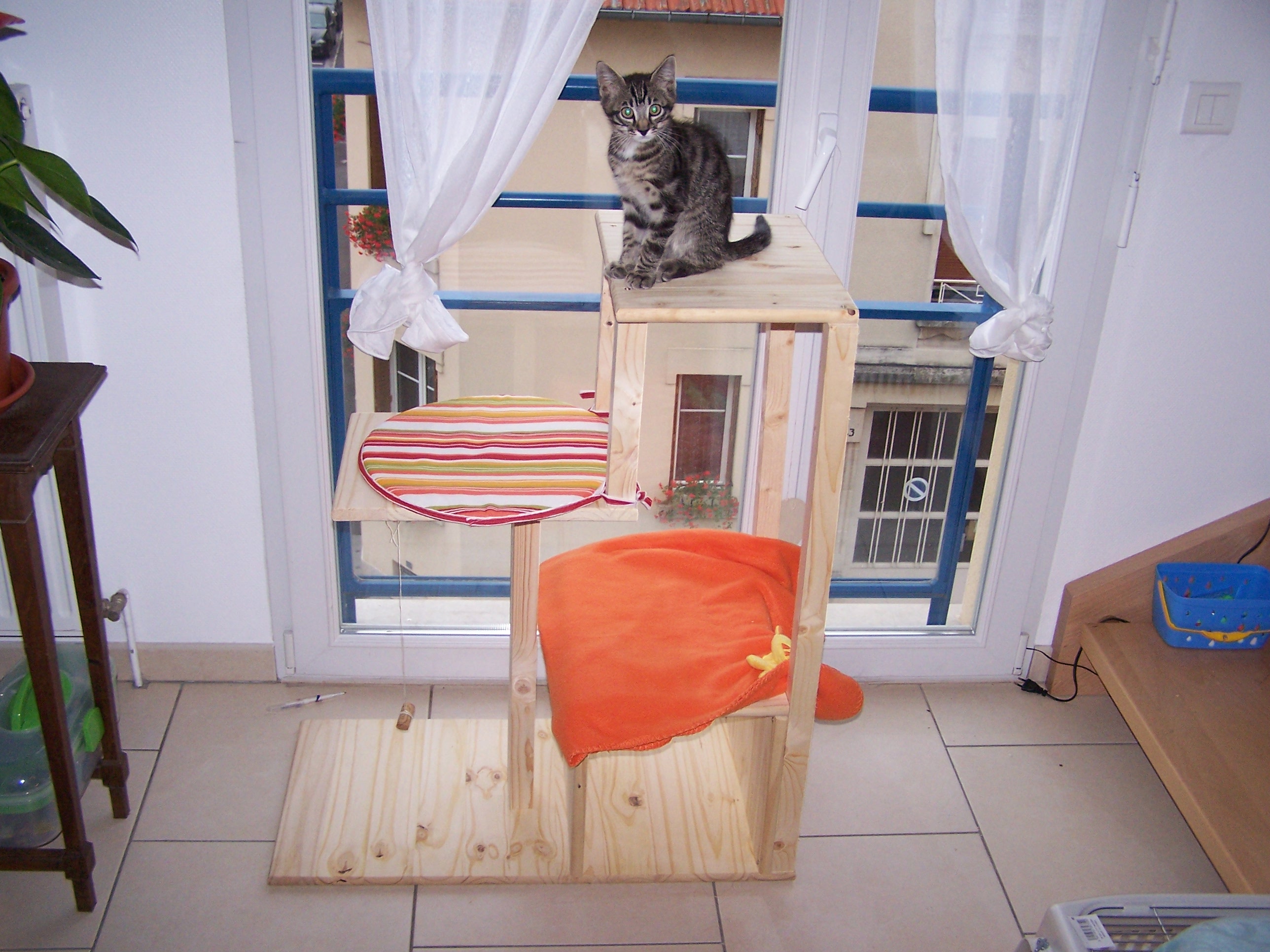 Comment Fabriquer Un Arbre A Chat Chats Forum Animaux Doctissimo Comment Fabriquer Un Arbre A Chat Chats Forum Animaux Doctissimo