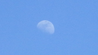 lune dans le ciel bleu 2