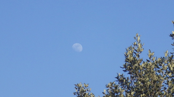 lune dans le ciel bleu 1