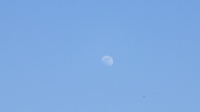 lune dans ciel bleu 3
