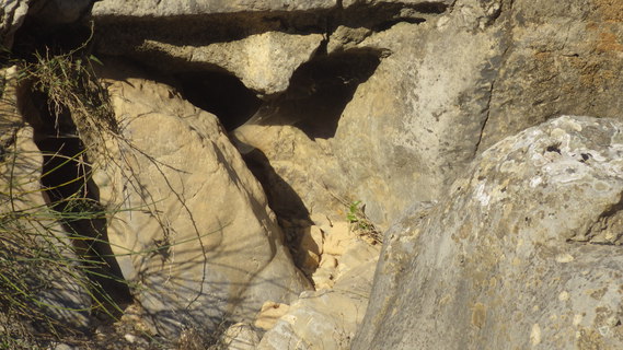 forme d'erosion 091