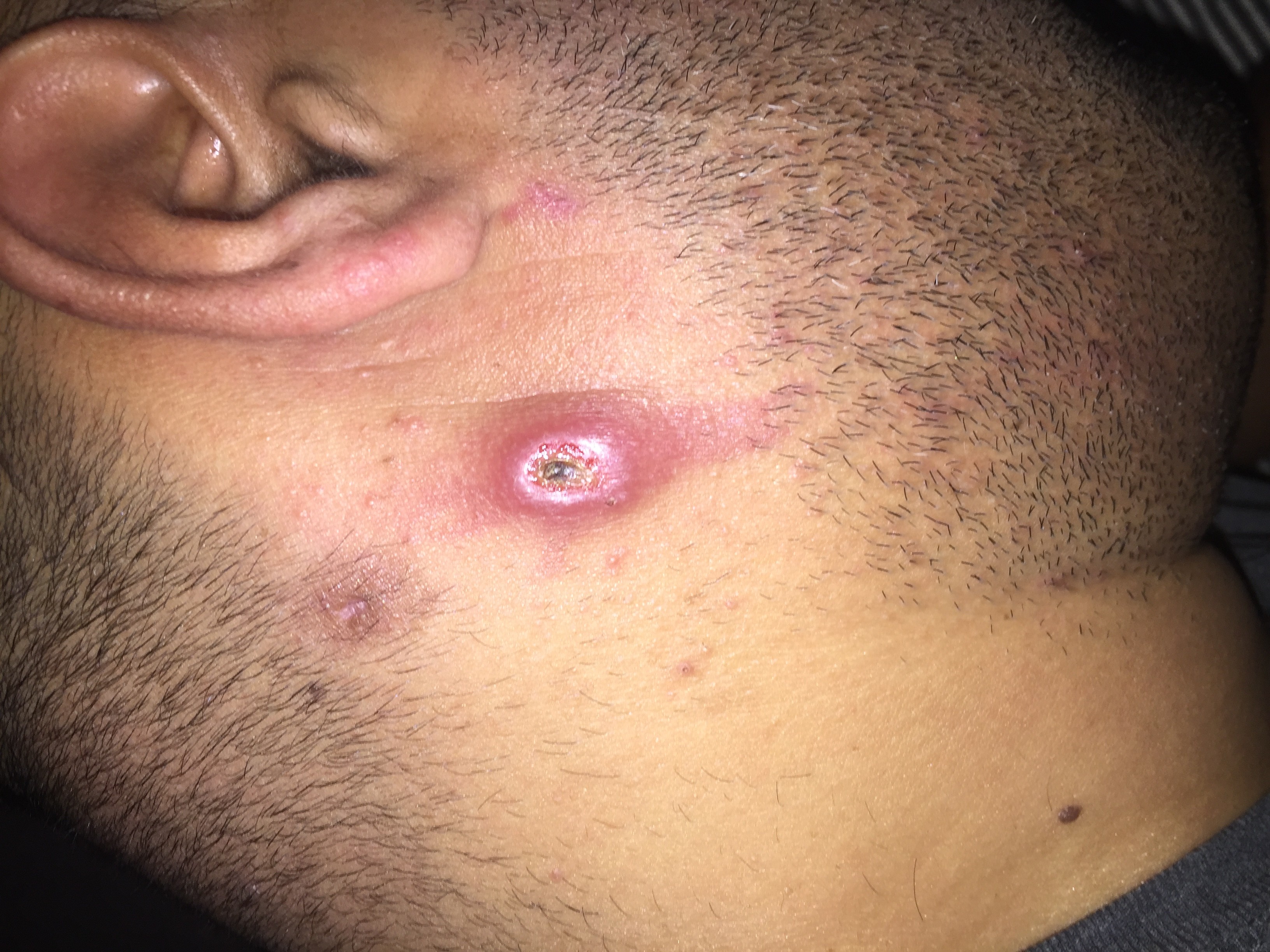 big-27148017cb3.jpg?v=1