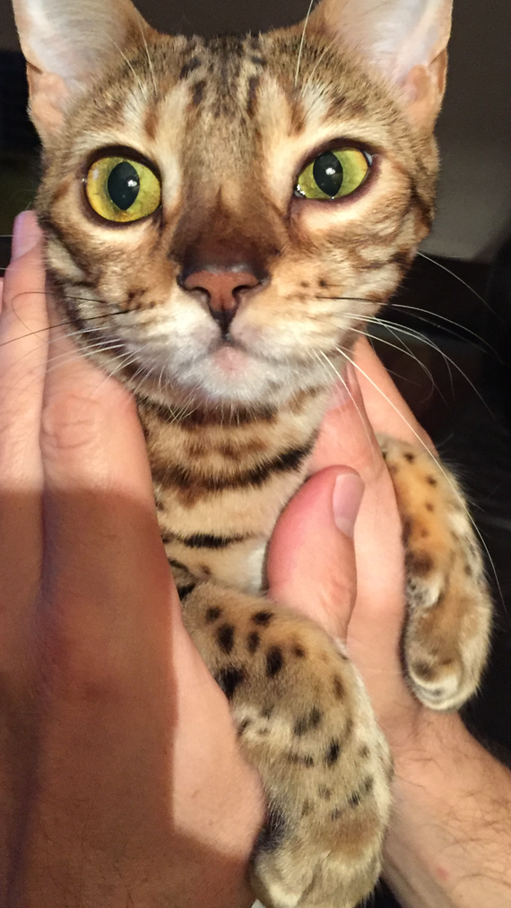 Ma Minette Ferme Un Seul De Ses Yeux Ma Minette Ferme Un Seul De Ses Yeux