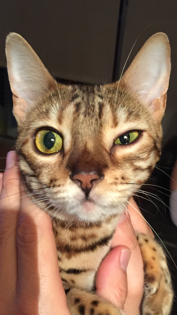 Ma Minette Ferme Un Seul De Ses Yeux Ma Minette Ferme Un Seul De Ses Yeux